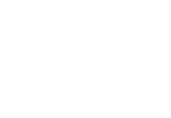 Bromely Sports logo